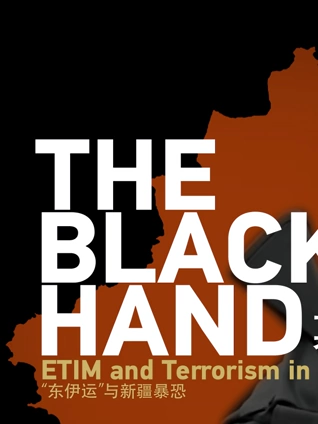 幕后黑手  东伊运与新疆反恐