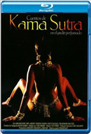 精品推荐视频区